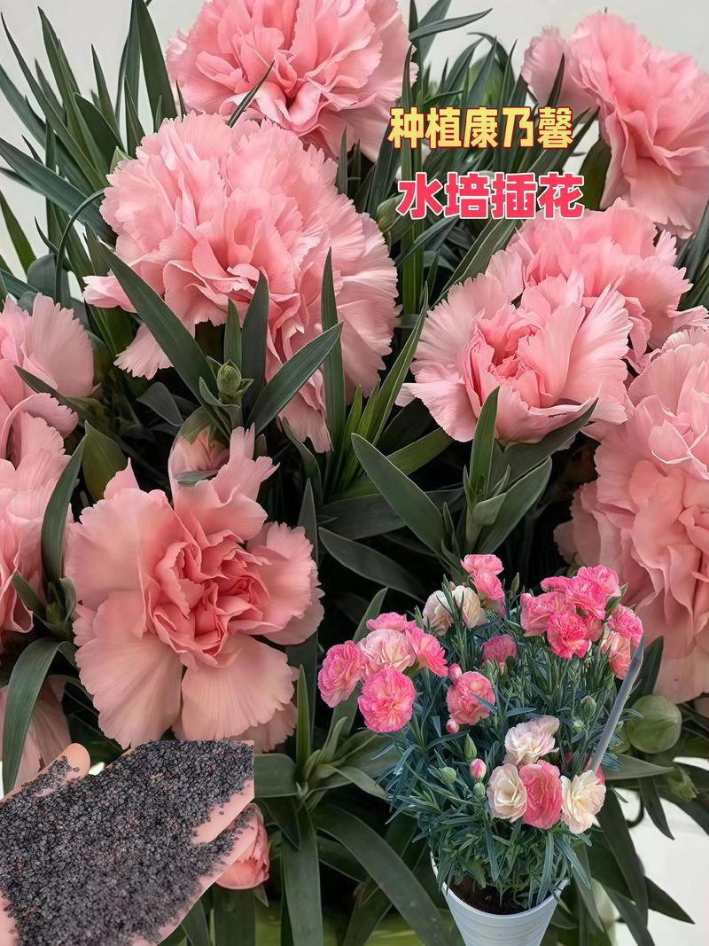 花束里的温情——一场生日惊喜的准备过程