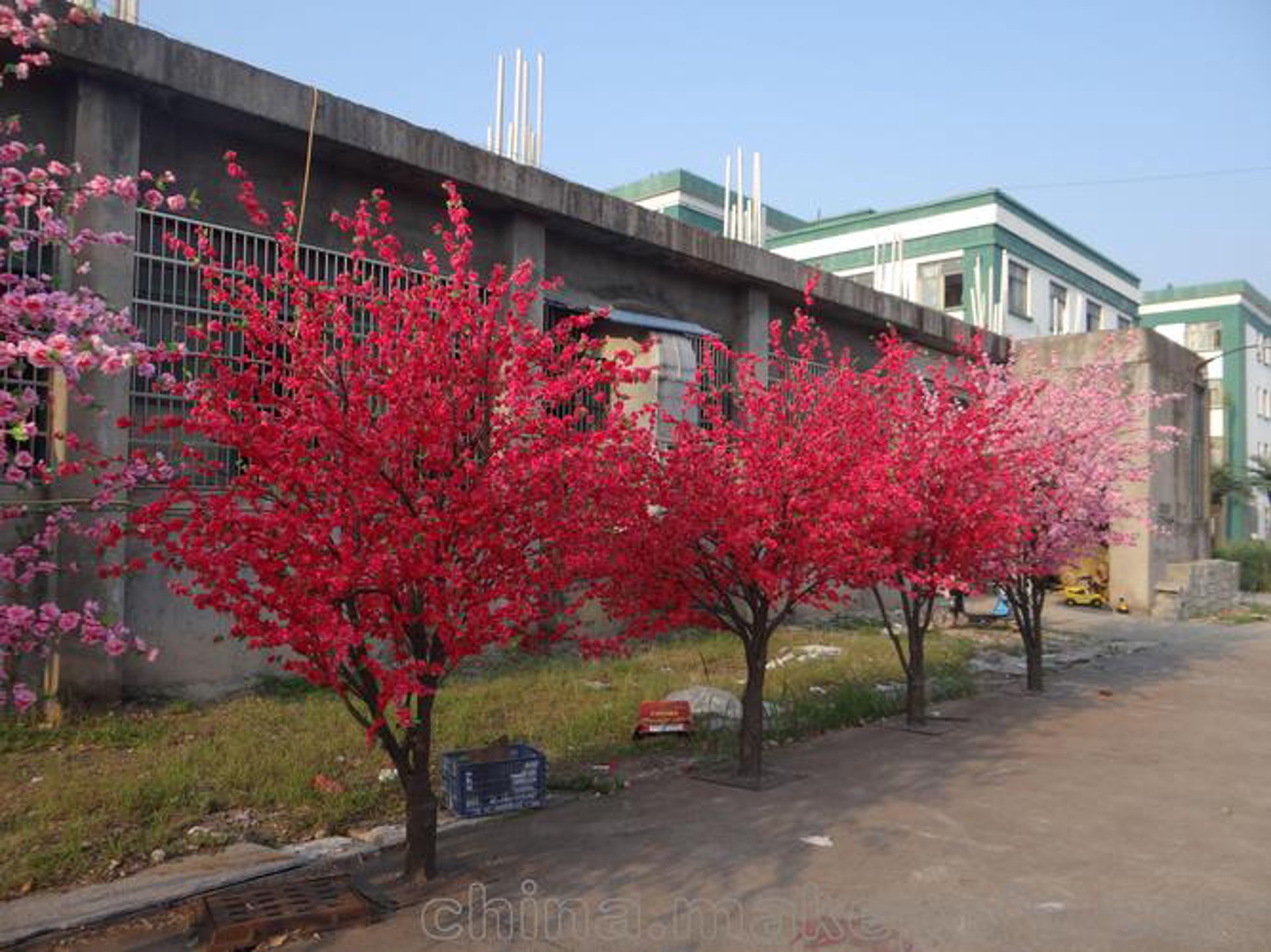春辉鲜花