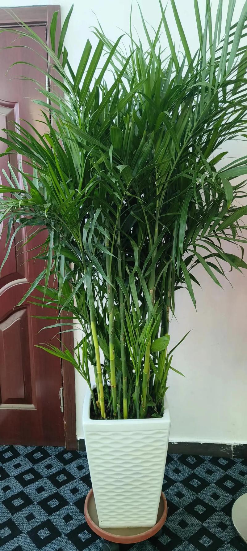 鲜花速递，您值得了解的误区有哪些？